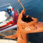 poisson-pollution-boue-rouge-calanque